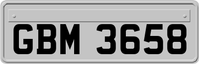 GBM3658