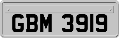 GBM3919
