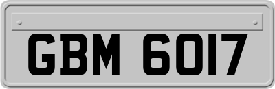 GBM6017