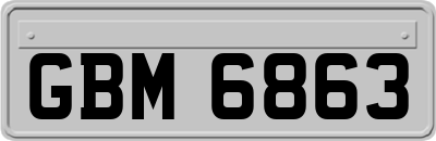 GBM6863