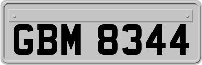 GBM8344
