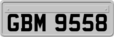 GBM9558