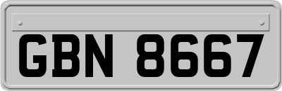 GBN8667