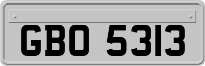 GBO5313