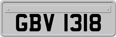 GBV1318