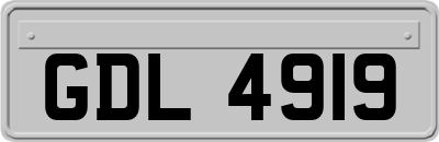 GDL4919