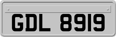 GDL8919