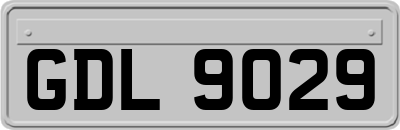 GDL9029