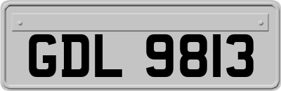 GDL9813