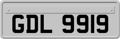 GDL9919