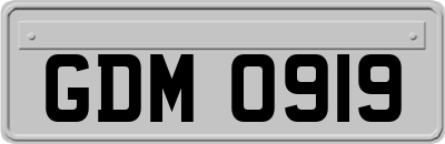 GDM0919