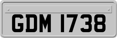GDM1738