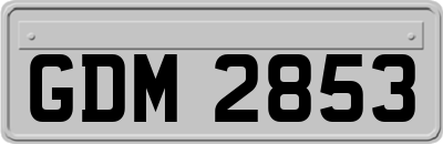 GDM2853