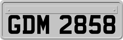 GDM2858