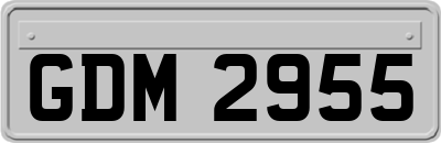 GDM2955