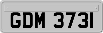 GDM3731