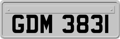 GDM3831
