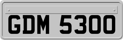 GDM5300