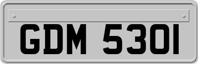 GDM5301