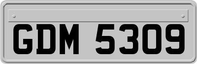 GDM5309