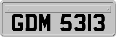 GDM5313