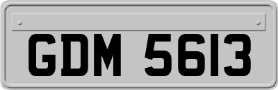 GDM5613