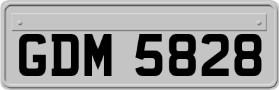 GDM5828