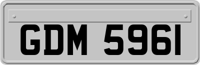 GDM5961