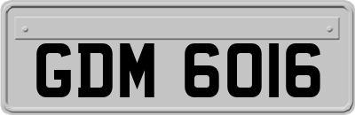 GDM6016