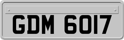 GDM6017
