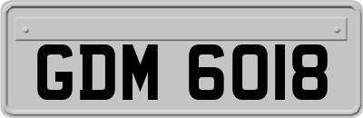 GDM6018