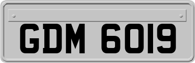 GDM6019