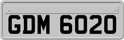 GDM6020