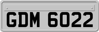 GDM6022
