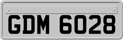 GDM6028