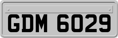 GDM6029