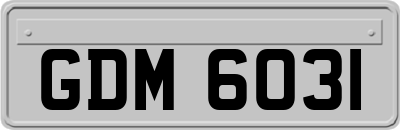GDM6031