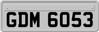 GDM6053