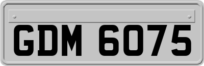 GDM6075