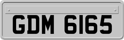 GDM6165