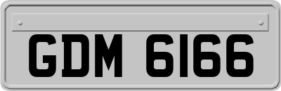 GDM6166