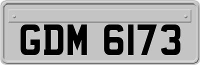 GDM6173