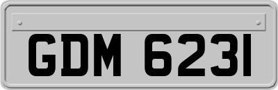 GDM6231