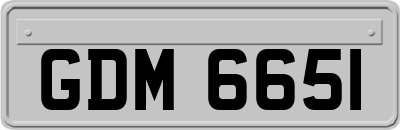 GDM6651