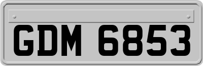 GDM6853