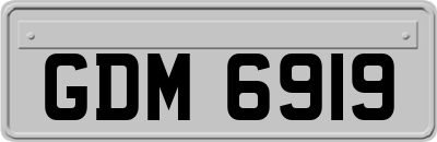 GDM6919
