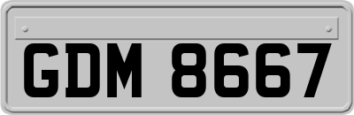 GDM8667