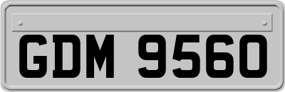 GDM9560