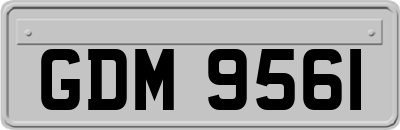 GDM9561