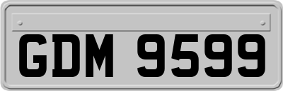 GDM9599